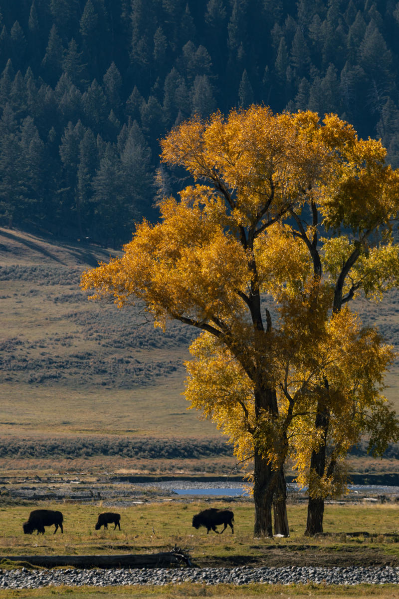 © 2024 Mark Avery