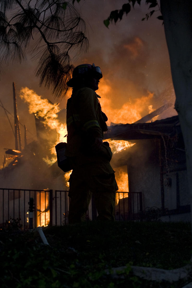 © 2008 Mark Avery/AP