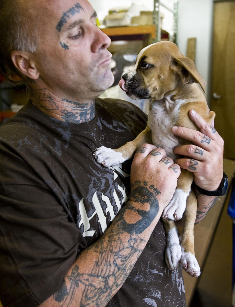© 2008 Mark Avery/New York Times