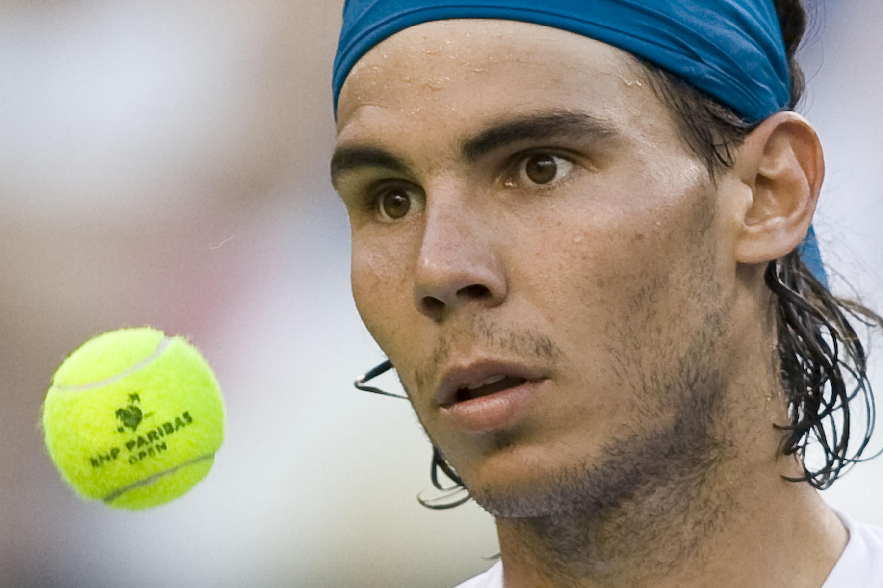 © 2009 Mark Avery/AP