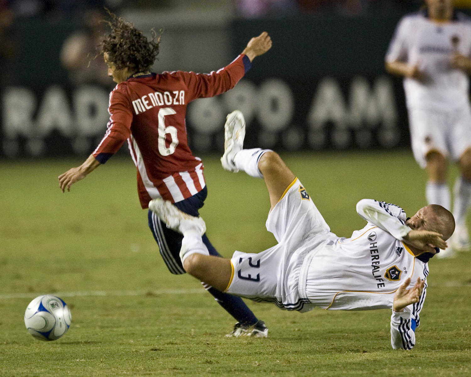 © 2008 Mark Avery/AP