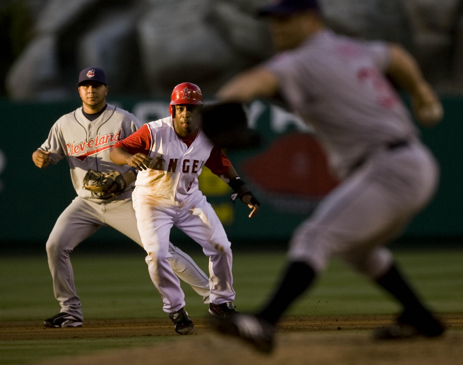 © 2008 Mark Avery/AP
