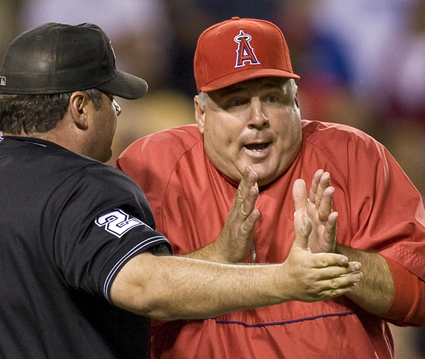 © 2008 Mark Avery/AP