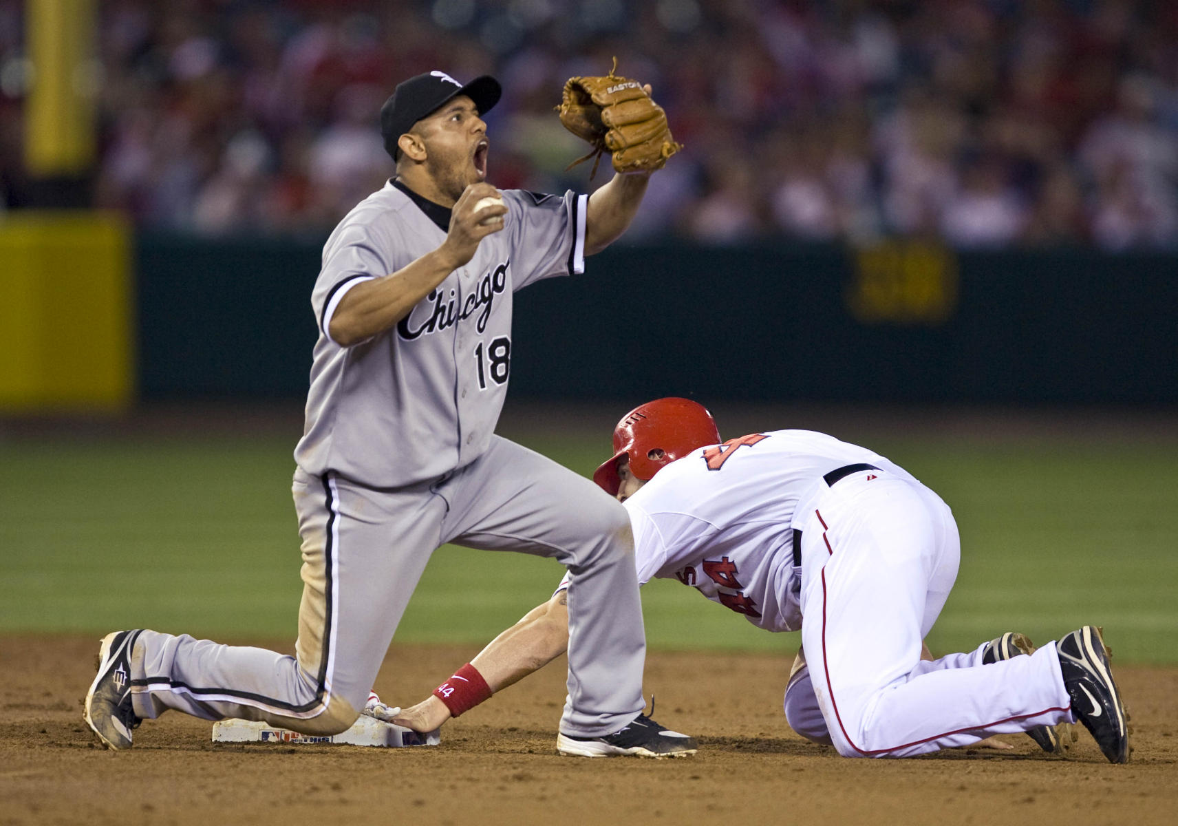 © 2008 Mark Avery/AP