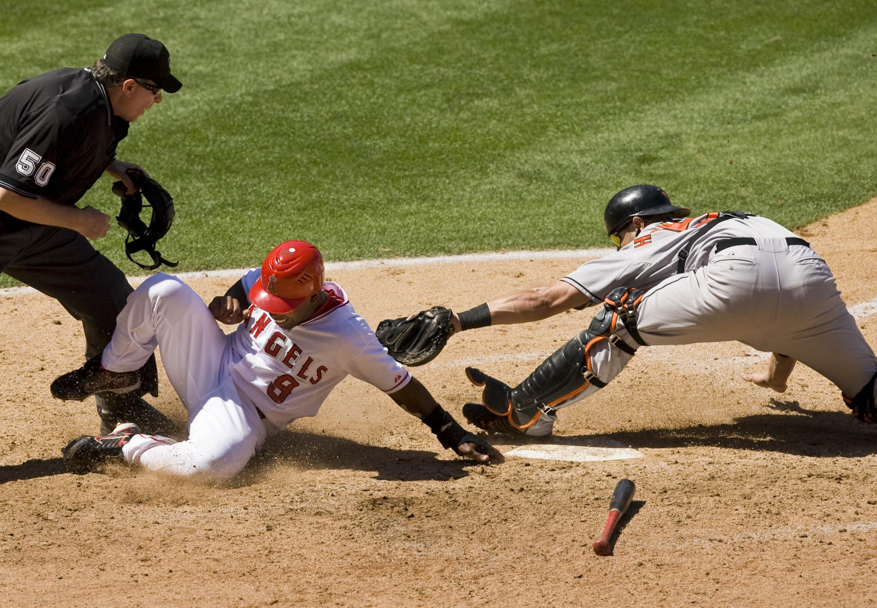 © 2008 Mark Avery/AP