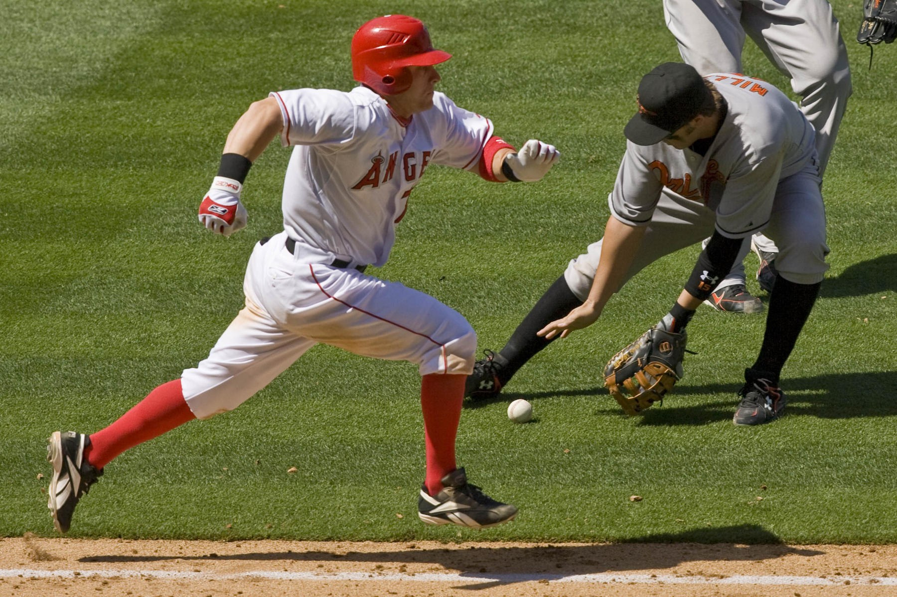 © 2008 Mark Avery/AP