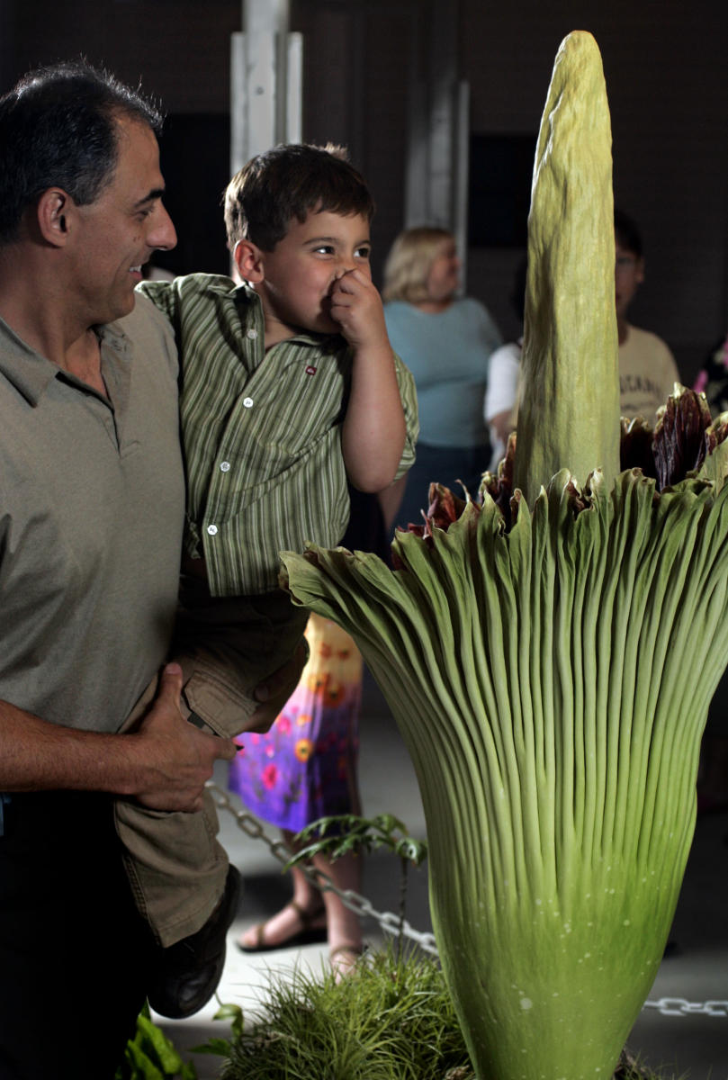 © 2006 Mark Avery/Orange County Register