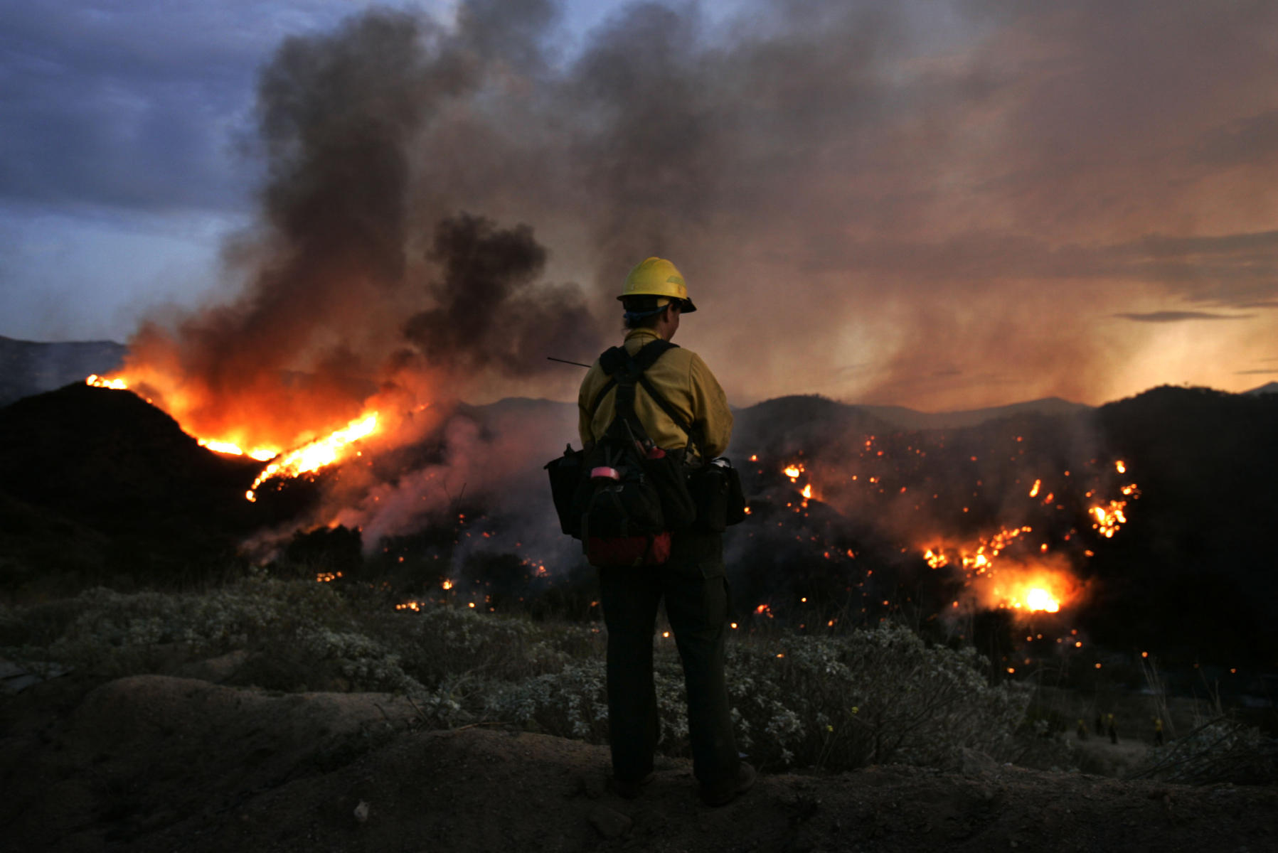 © 2006 Mark Avery/Orange County Register