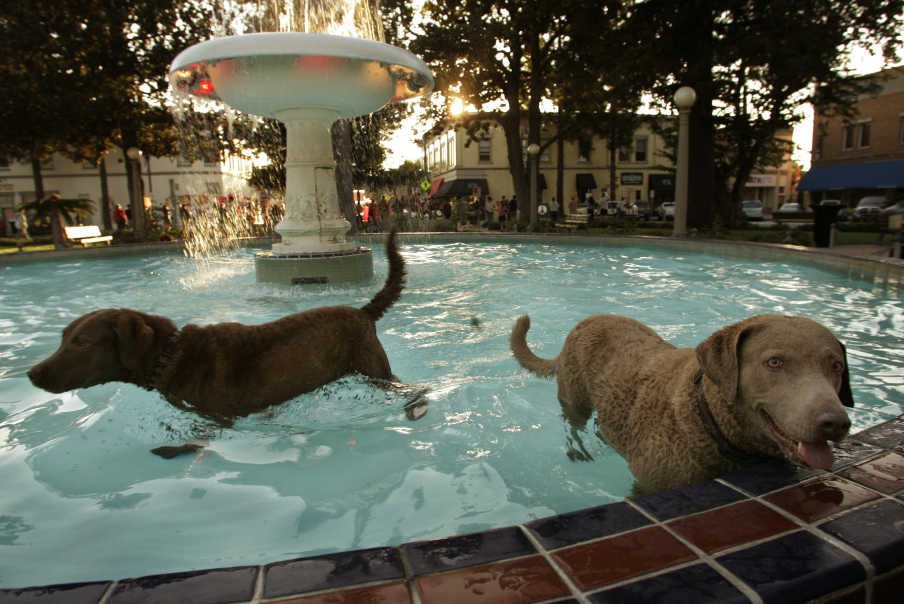 © 2005 Mark Avery/Orange County Register