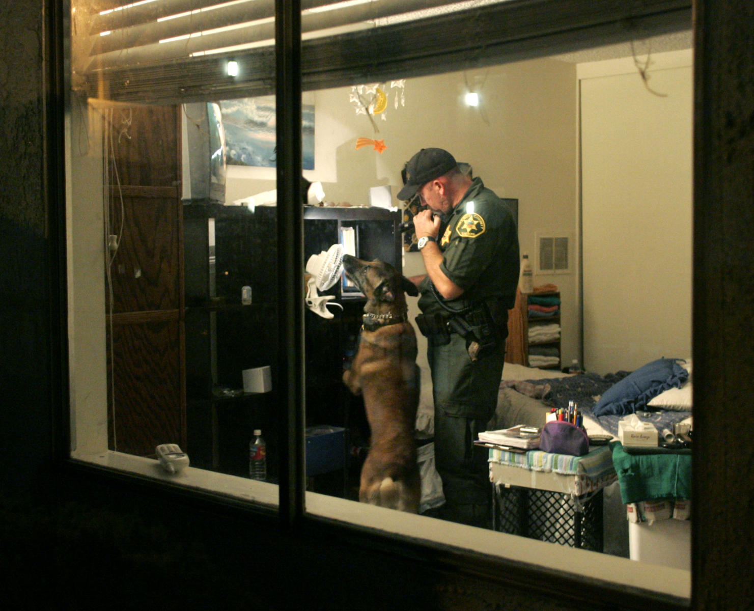 © 2005 Mark Avery/Orange County Register