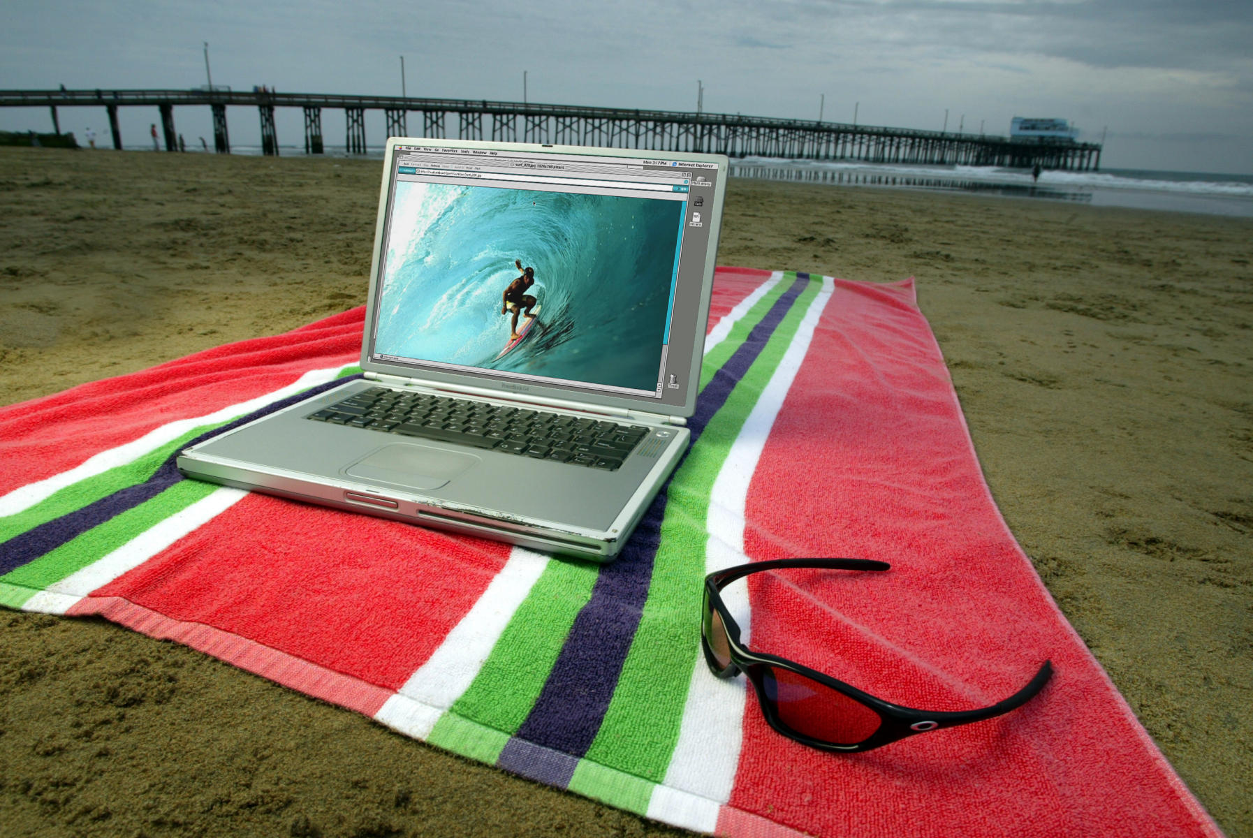 © 2004 Mark Avery/Orange County Register