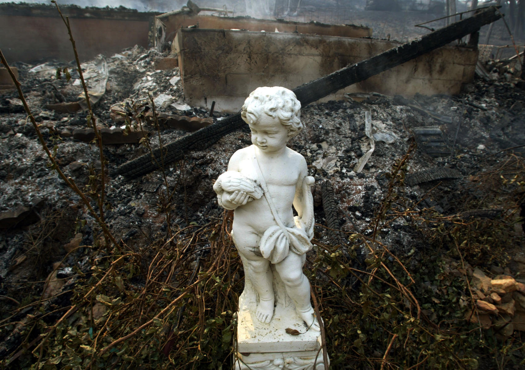 © 2003 Mark Avery/Orange County Register