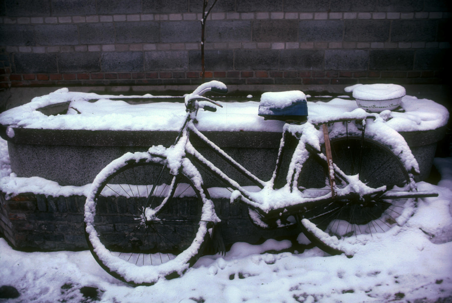© 1987 Mark Avery