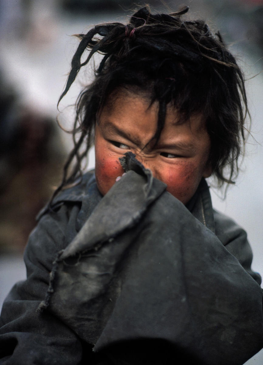 © 1987 Mark Avery