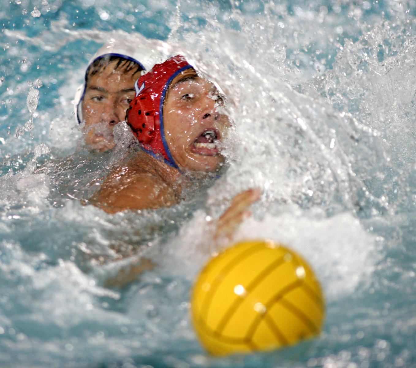 © 2005 Mark Avery/Orange County Register