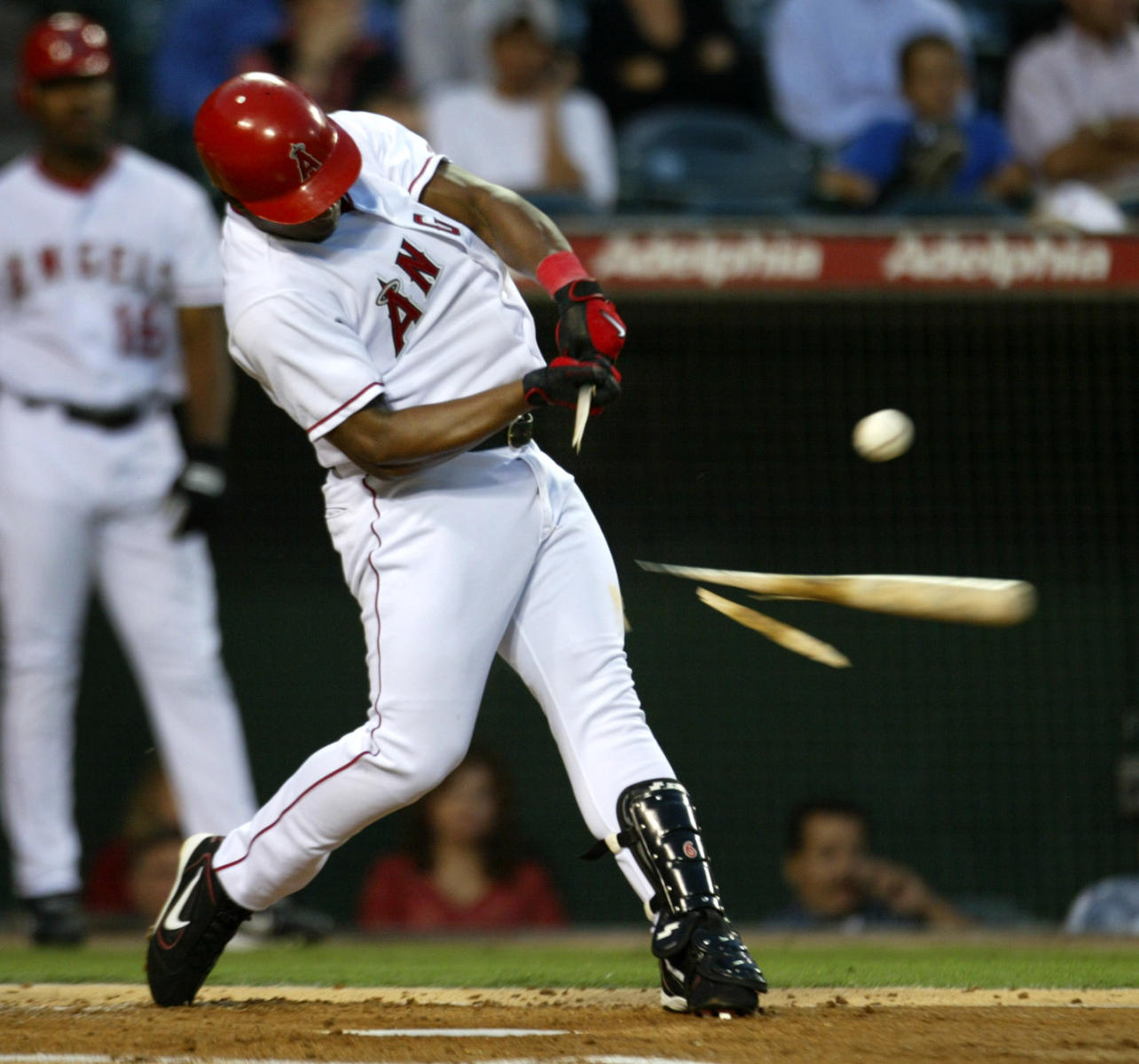 © 2004 Mark Avery/Orange County Register
